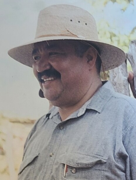 Avelino Guerrero Vega